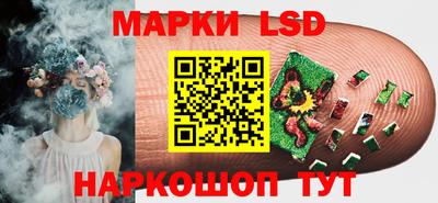 шишки Гатчина
