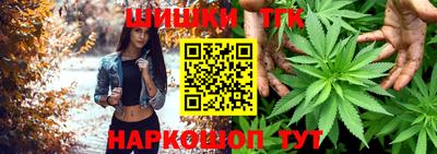 прущие крисы Гай