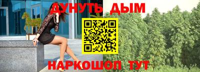 шишки Гатчина
