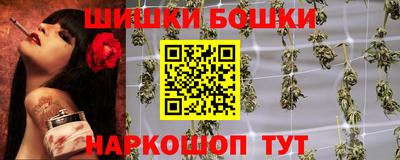 прущие крисы Гай
