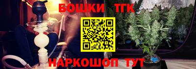 шишки Гатчина