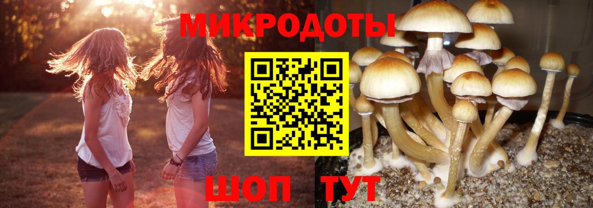 Галлюциногенные грибы Magic Shrooms Нововоронеж
