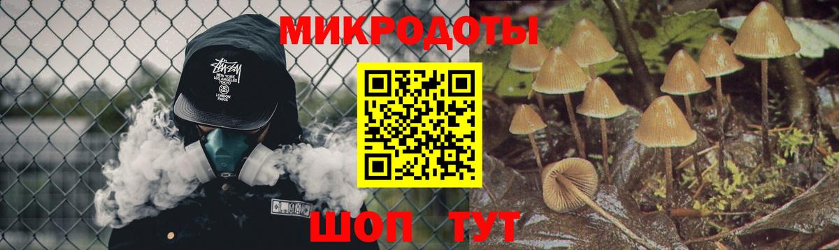Нововоронеж  Галлюциногенные грибы мухоморы  Вход с VPN  Псилоцибиновые грибы мухоморы 